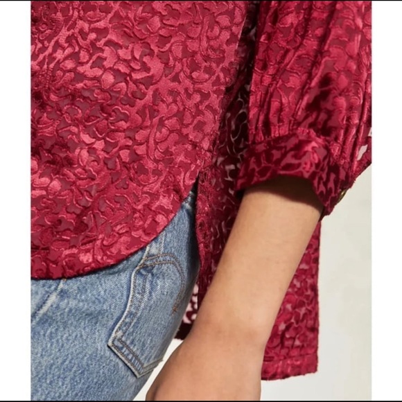 Anthropologie Susanna Burnout Velvet Button Down Blouse - Picture 2 of 12